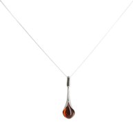 Amber Necklace - Master's Gift