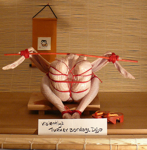 shibari thanksgivingturkey
