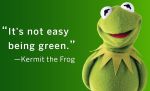 It;s not Easy Being Green Kermit